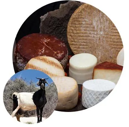 56 Pueblo Majorero *