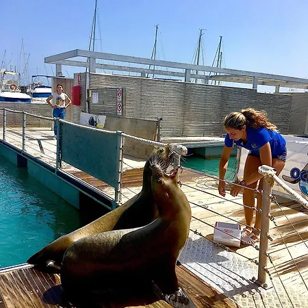 Appartement 56 Pueblo Majorero *
